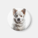 Buscar dog pet imanes Para todos
