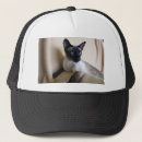 Buscar siamés gorras Gato
