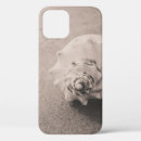 Buscar suelo iphone fundas Arena