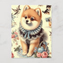 Buscar pomeranian postales Cachorro
