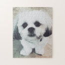 Buscar perritos lindos puzzles Perro