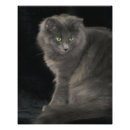 Buscar gato azul ruso posters Gris