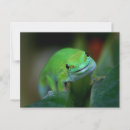 Buscar gecko verde postales Reptil