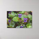 Buscar flores violetas lienzos Insecto