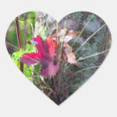 Buscar moscas manualidades Naturaleza