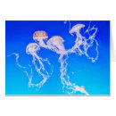 Buscar monterey tarjetas Mar