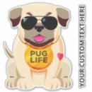 Buscar pug pegatinas parachoque Divertido