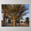 Buscar duna posters Amanecer