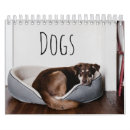 Buscar perro calendarios Corgi