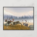 Buscar niebla postales Animales