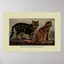 Buscar felines posters Vintage