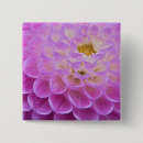 Buscar crisantemo chapas Mamá