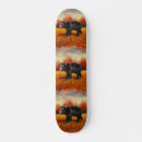 Buscar osos tablas de skate 6 º pesadilla