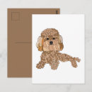 Buscar caniche postales Cachorro