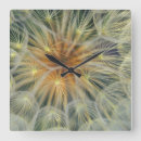 Buscar galería relojes de pared Nadie