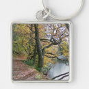 Buscar autumn llaveros Naturaleza