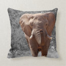 Buscar elefante africano cojines Naturaleza