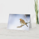 Buscar encaramado tarjetas Vida silvestre
