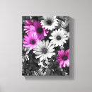 Buscar margaritas blancas lienzos Para ella