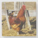 Buscar haney Rural