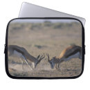 Buscar namibia fundas Naturaleza