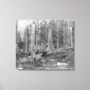 Buscar cortado lienzos Árboles