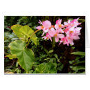 Buscar begonia Tropical