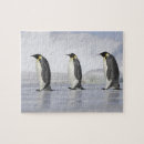 Buscar pingüinos de emperador puzzles Naturaleza