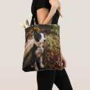 Buscar correa negra bolsos Lindo