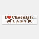 Buscar labrador pegatinas parachoque Animales