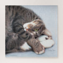Buscar peludo puzzles Gato