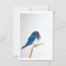 Buscar pájaros azules tarjetas Pájaro azul