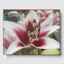 Buscar gazer Flores