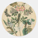 Buscar etapas postales Mariposas