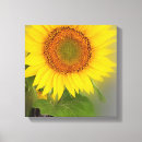 Buscar girasol lienzos Azul