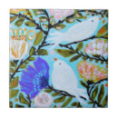 Buscar pájaros del amor azulejos Animales