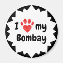 Buscar bombay imanes 9 º gata