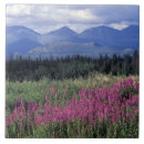 Buscar flor nacional azulejos Paisaje