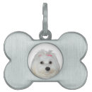 Buscar perritos collares Para ella