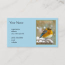 Buscar oriental tarjetas de visita Pájaro azul