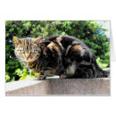 Buscar gremlin postales Para todos