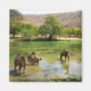 Buscar bañador imanes Río