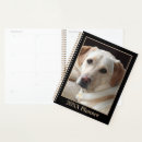 Buscar moreno agendas Animal