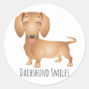Buscar dashund Dashound