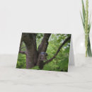 Buscar mordedura tarjetas Para todos