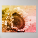 Buscar flor sonriente posters Floral
