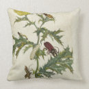 Buscar oruga cojines Insectos