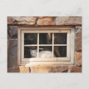 Buscar window postales Ventana