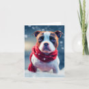 Buscar staffy tarjetas Staffordshire