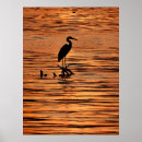 Buscar heroína posters Vida silvestre